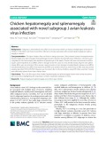 Chicken hepatomegaly and splenomegaly associated with novel subgroup J avian leukosis virus infection