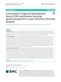 Concomitant Congenital Diaphagmatic Hernia (CDH) and bilateral bacterial glomerulonephritis in a pet chinchilla (Chinchilla lanigera)