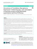 Occurrence of ‘Candidatus Mycoplasma haemosuis’ in fattening pigs, sows and piglets in Germany using a novel gap-based quantitative real-time PCR assay
