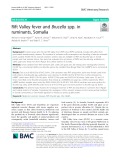 Rift Valley fever and Brucella spp. in ruminants, Somalia