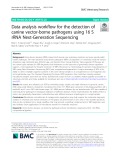 Data analysis workflow for the detection of canine vector-borne pathogens using 16 S rRNA Next-Generation Sequencing