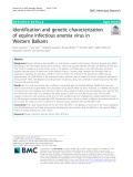 Identification and genetic characterization of equine infectious anemia virus in Western Balkans