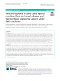Immune response in dairy cattle against combined foot and mouth disease and haemorrhagic septicemia vaccine under field conditions