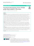 Functional phenotyping of the CYP2D6 probe drug codeine in the horse