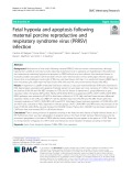 Fetal hypoxia and apoptosis following maternal porcine reproductive and respiratory syndrome virus (PRRSV) infection