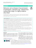 Molecular and serological characterization of pathogenic Leptospira spp. isolated from symptomatic dogs in a highly endemic area, Brazil