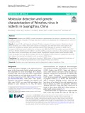 Molecular detection and genetic characterization of Wenzhou virus in rodents in Guangzhou, China