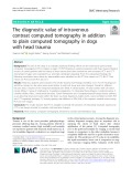 The diagnostic value of intravenous contrast computed tomography in addition to plain computed tomography in dogs with head trauma