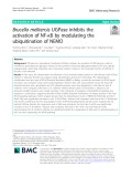 Brucella melitensis UGPase inhibits the activation of NF-κB by modulating the ubiquitination of NEMO