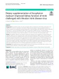 Dietary supplementation of Ascophylum nodosum improved kidney function of mink challenged with Aleutian mink disease virus
