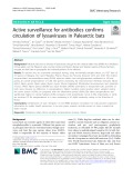 Active surveillance for antibodies confirms circulation of lyssaviruses in Palearctic bats
