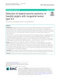 Detection of atypical porcine pestivirus in Swedish piglets with congenital tremor type A-II