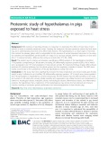 Proteomic study of hypothalamus in pigs exposed to heat stress