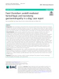 Fatal Clostridium sordellii-mediated hemorrhagic and necrotizing gastroenteropathy in a dog: Case report
