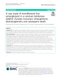 A case study of monofilament line entanglement in a common bottlenose dolphin (Tursiops truncatus): Entanglement, disentanglement, and subsequent death