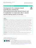 Development of a computer-based quantification method for immunohistochemically-stained tissues and its application to study mast cells in equine wound healing (proof of concept)