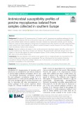 Antimicrobial susceptibility profiles of porcine mycoplasmas isolated from samples collected in southern Europe
