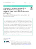 Chromatin run-on sequencing analysis finds that ECM remodeling plays an important role in canine hemangiosarcoma pathogenesis
