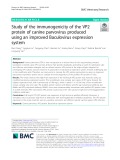 Study of the immunogenicity of the VP2 protein of canine parvovirus produced using an improved Baculovirus expression system