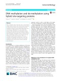 DNA methylation and de-methylation using hybrid site-targeting proteins