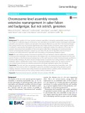 Chromosome-level assembly reveals extensive rearrangement in saker falcon and budgerigar, but not ostrich, genomes