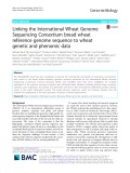 Linking the International Wheat Genome Sequencing Consortium bread wheat reference genome sequence to wheat genetic and phenomic data