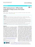 DNA Topoisomerase I differentially modulates R-loops across the human genome