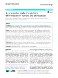 A comparative study of endoderm differentiation in humans and chimpanzees