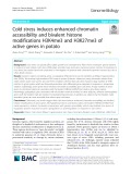 Cold stress induces enhanced chromatin accessibility and bivalent histone modifications H3K4me3 and H3K27me3 of active genes in potato