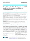 Manipulating plant RNA-silencing pathways to improve the gene editing efficiency of CRISPR/Cas9 systems