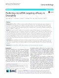 Predicting microRNA targeting efficacy in Drosophila