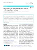 CRISPR-SKIP: Programmable gene splicing with single base editors