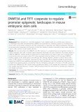 DNMT3A and TET1 cooperate to regulate promoter epigenetic landscapes in mouse embryonic stem cells