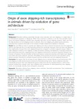 Origin of exon skipping-rich transcriptomes in animals driven by evolution of gene architecture
