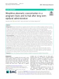 Morphine plasmatic concentration in a pregnant mare and its foal after long term epidural administration
