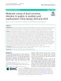 Molecular survey of duck circovirus infection in poultry in southern and southwestern China during 2018 and 2019