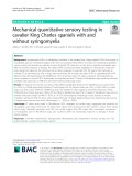 Mechanical quantitative sensory testing in cavalier King Charles spaniels with and without syringomyelia