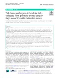 Tick-borne pathogens in Ixodidae ticks collected from privately-owned dogs in Italy: A country-wide molecular survey
