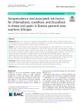 Seroprevalence and associated risk factors for chlamydiosis, coxiellosis and brucellosis in sheep and goats in Borana pastoral area, southern Ethiopia