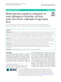 Whole genome sequence comparison of avian pathogenic Escherichia coli from acute and chronic salpingitis of egg laying hens