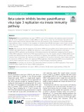 Beta-catenin inhibits bovine parainfluenza virus type 3 replication via innate immunity pathway