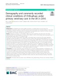 Demography and commonly recorded clinical conditions of Chihuahuas under primary veterinary care in the UK in 2016