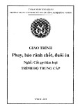 Giáo trình Phay, bào rãnh chốt, đuôi én (Nghề: Cắt gọt kim loại - Trung cấp) - Trường TCN Kỹ thuật công nghệ Hùng Vương