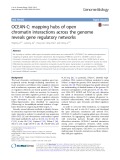 OCEAN-C: Mapping hubs of open chromatin interactions across the genome reveals gene regulatory networks