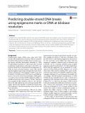 Predicting double-strand DNA breaks using epigenome marks or DNA at kilobase resolution