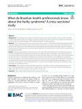 What do Brazilian health professionals know about the frailty syndrome? A cross-sectional study