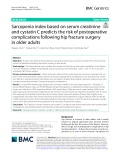 Sarcopenia index based on serum creatinine and cystatin C predicts the risk of postoperative complications following hip fracture surgery in older adults