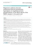 Magnesium sulphate attenuate remifentanil-induced postoperative hyperalgesia via regulating tyrosine phosphorylation of the NR2B subunit of the NMDA receptor in the spinal cord