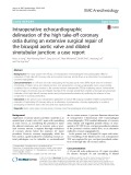 Intraoperative echocardiographic delineation of the high take-off coronary ostia during an extensive surgical repair of the bicuspid aortic valve and dilated sinotubular junction: A case report