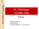 Bài giảng Đảm bảo chất lượng phần mềm: Chất lượng của phần mềm - Nguyễn Anh Hào